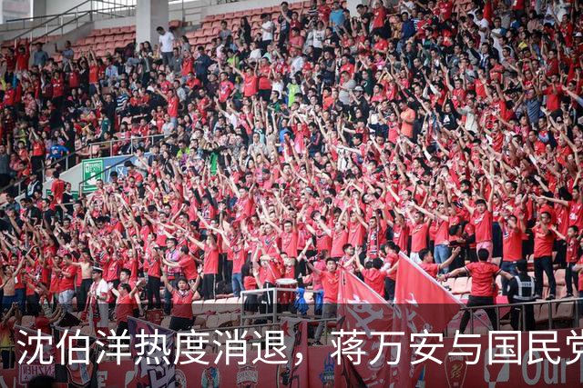 沈伯洋热度消退，蒋万安与国民党已全面反攻，赵少康要将功赎罪？